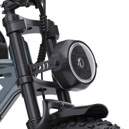 Deepower® QS7 90 Nm Dual Battery Fat Tire Mountain E-Bike