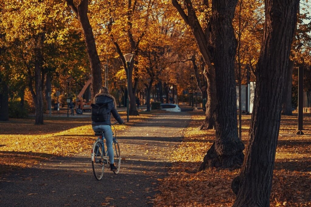 woman, bike ride, autumn-8368830.jpg