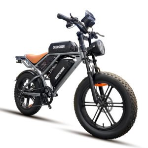 Electric bike